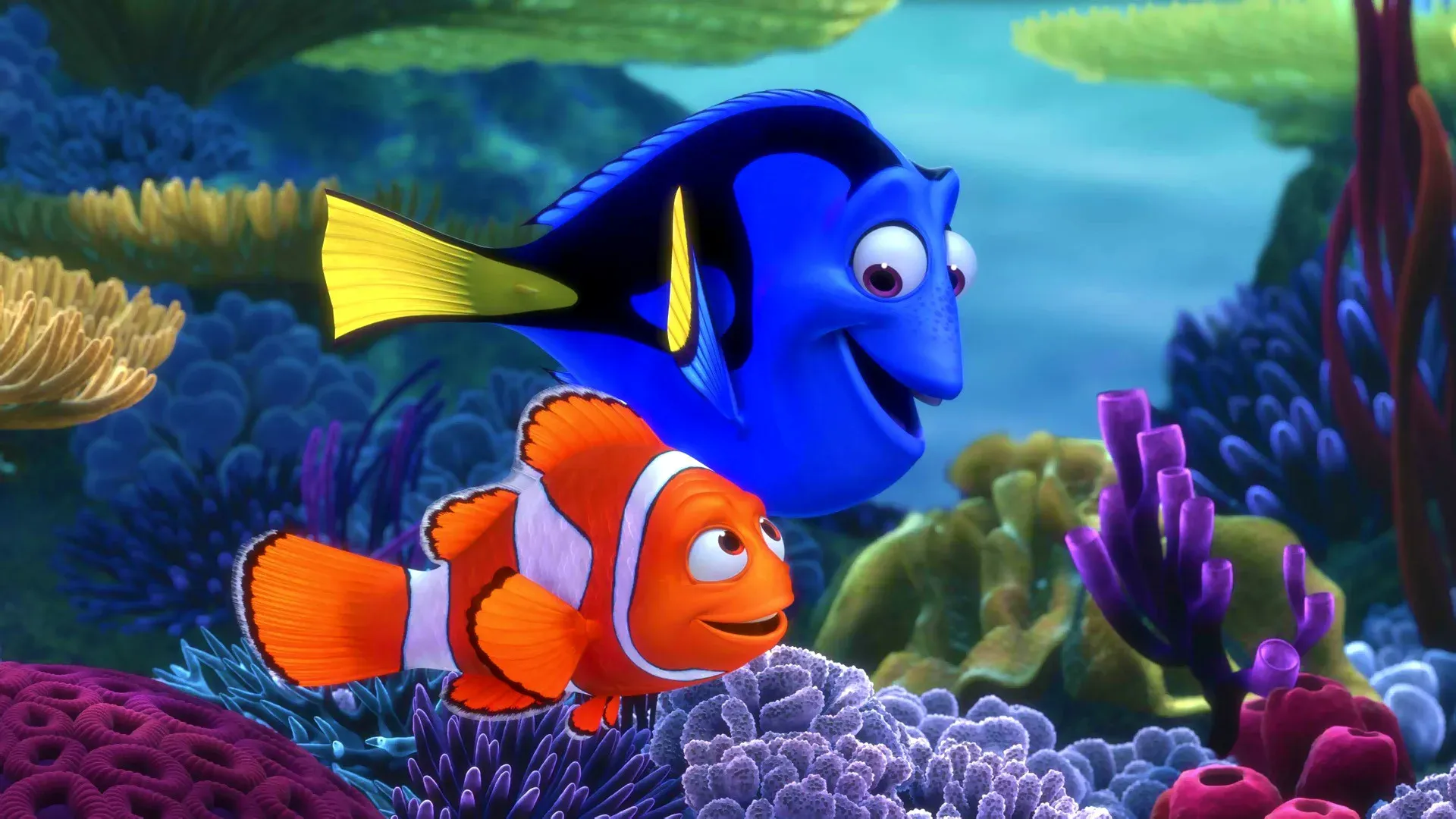 Image from “The Life of Pi:  Breathing, Swimming, and Watching the Wake”