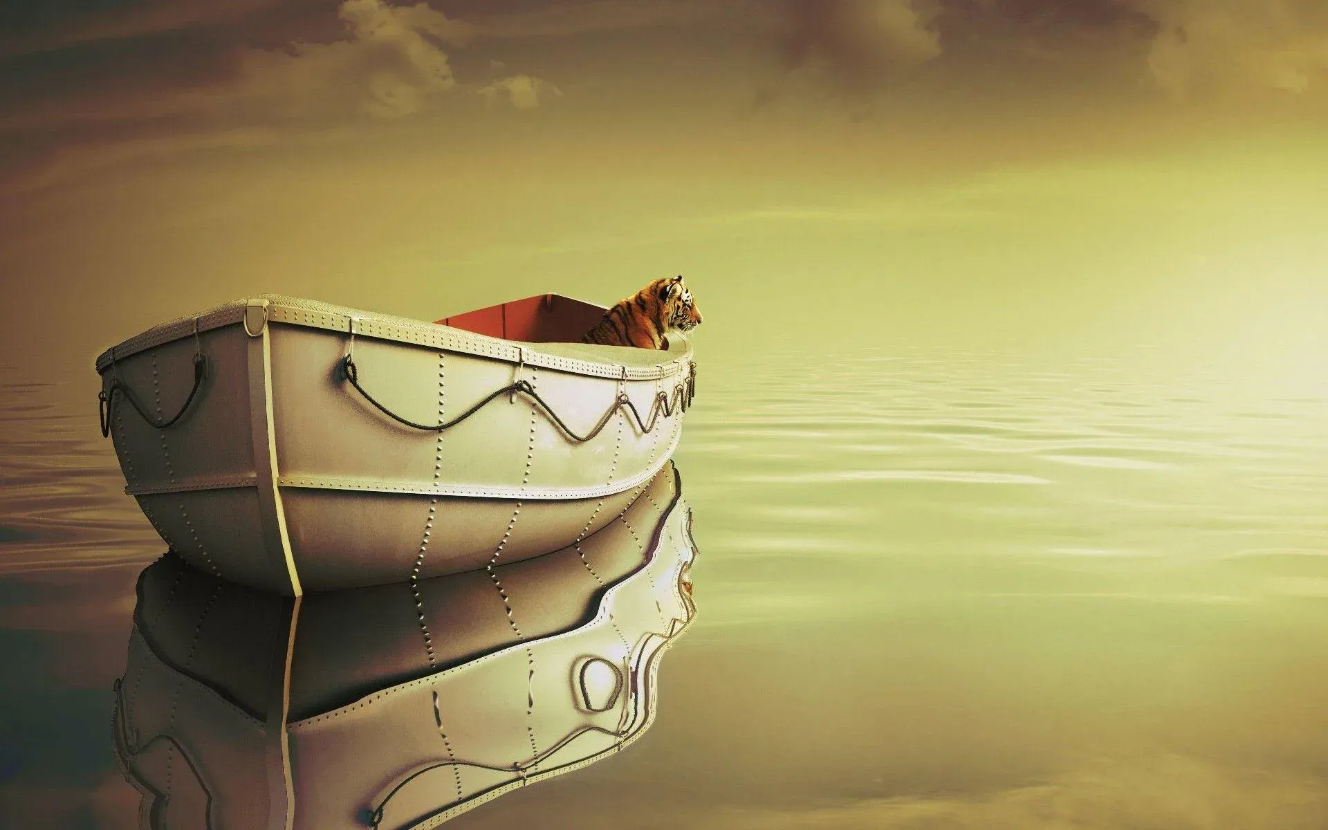 Image from “The Life of Pi:  Breathing, Swimming, and Watching the Wake”