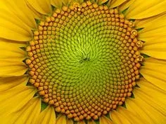 Image from “Storytelling: A Kaleidoscope of Connection”