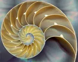 Image from “Storytelling: A Kaleidoscope of Connection”